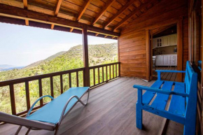 Wooden House Surrounded by Nature in Datca
